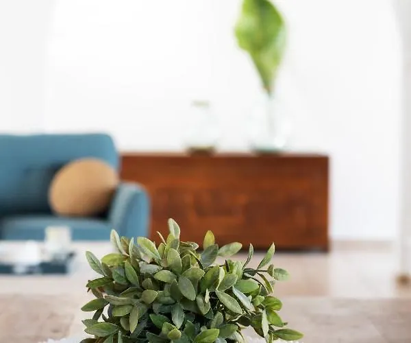 فيلة Amera Luxury بييا