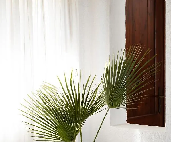 Amera Luxury فيلة *