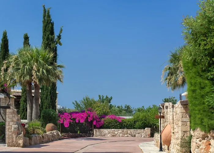 Amera Luxury * بييا