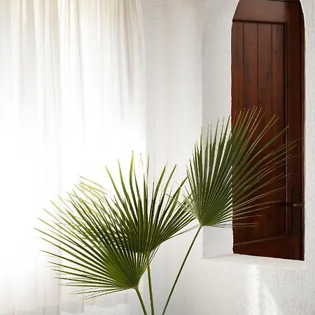 Amera Luxury Willa *